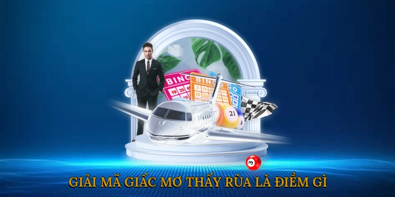 Giải Mã Giấc Mơ Thấy Rùa Là Điềm Gì?