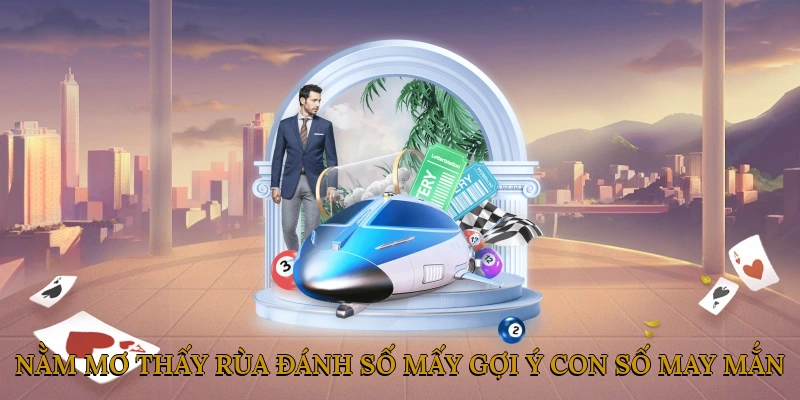 Nằm Mơ Thấy Rùa Đánh Số Mấy? Gợi Ý Con Số May Mắn